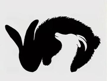 〔欣赏图片〕根据图中画面猜两个动物。温馨提示。黑色和白色两部分。