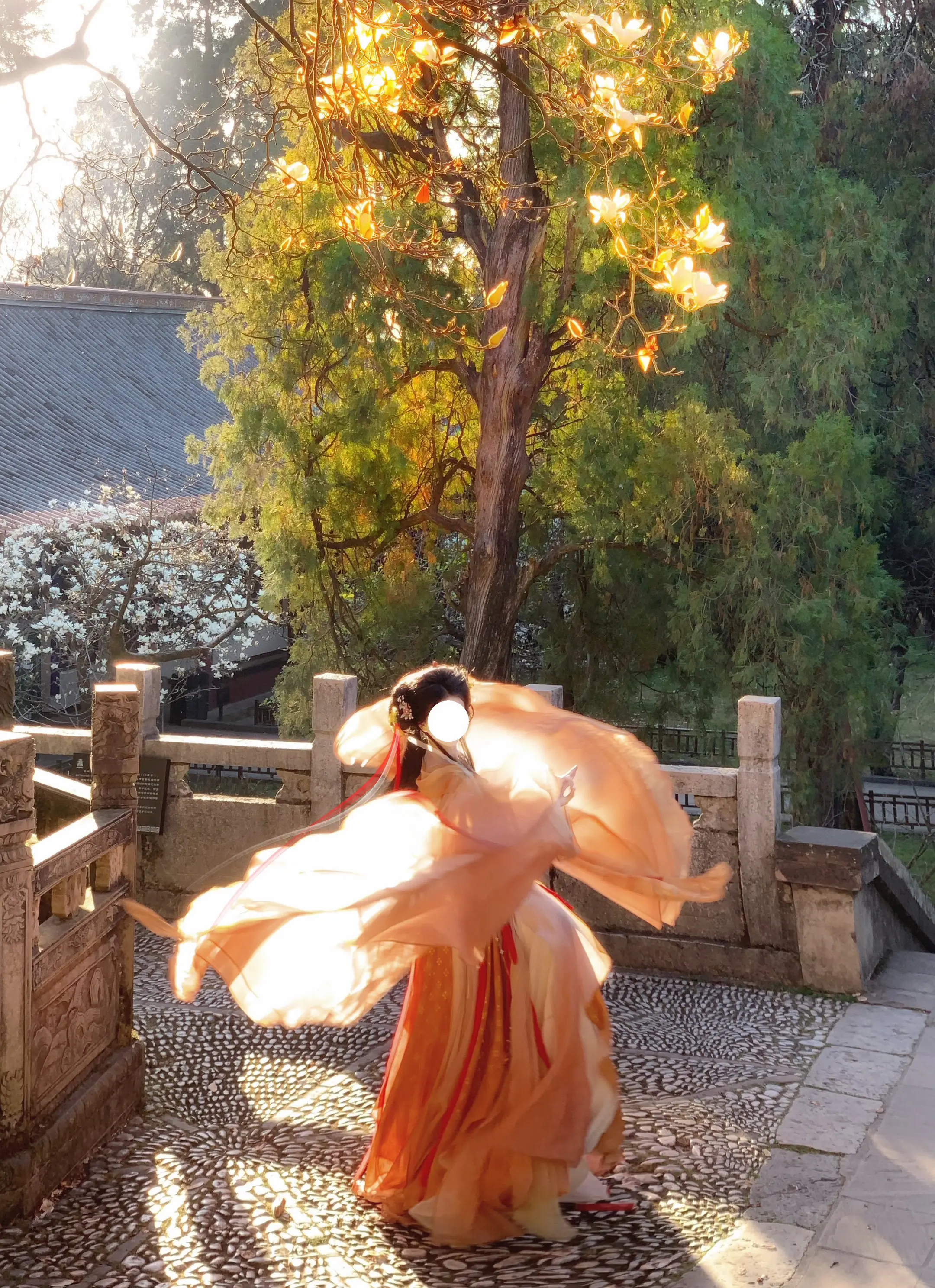 “看好了，我只出一招！”