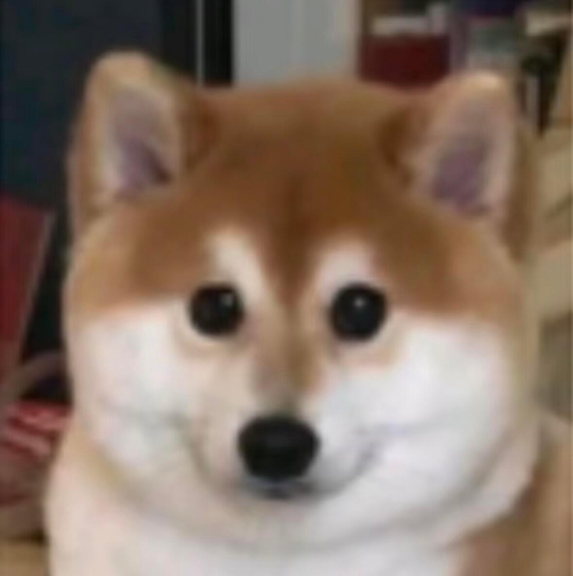 中传砍掉翻译摄影等16个专业 赏着AI 画、读着AI文、唱着AI歌 