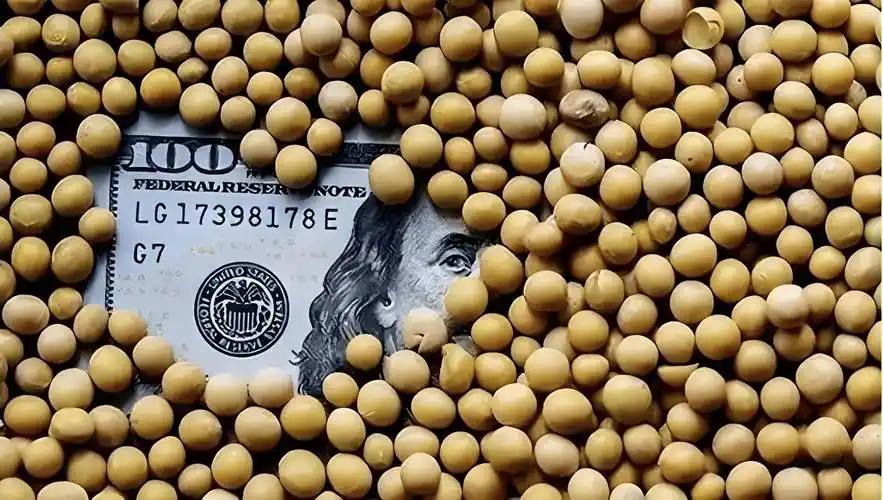 特朗普终于能跟农业州的选民交代了。

1200万吨大豆订单落袋，他松了一口气。