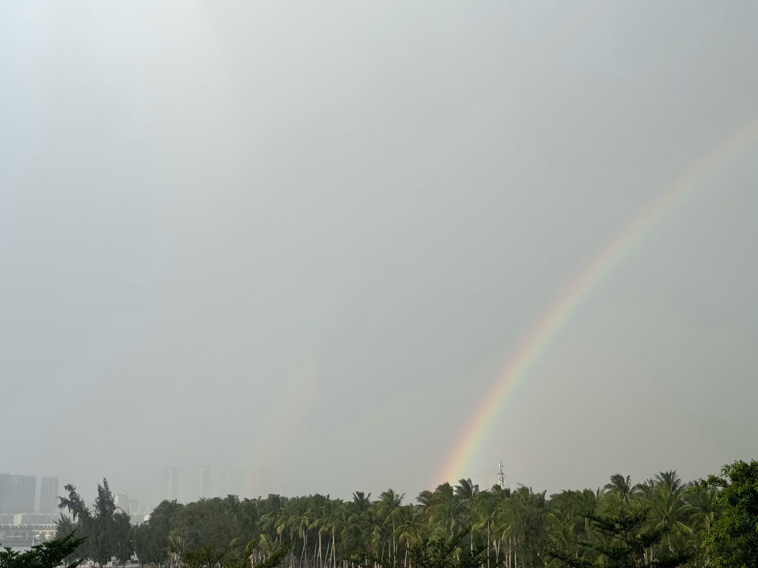 双彩虹🌈 