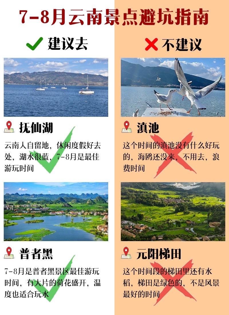 7-8月云南景点避坑攻略。