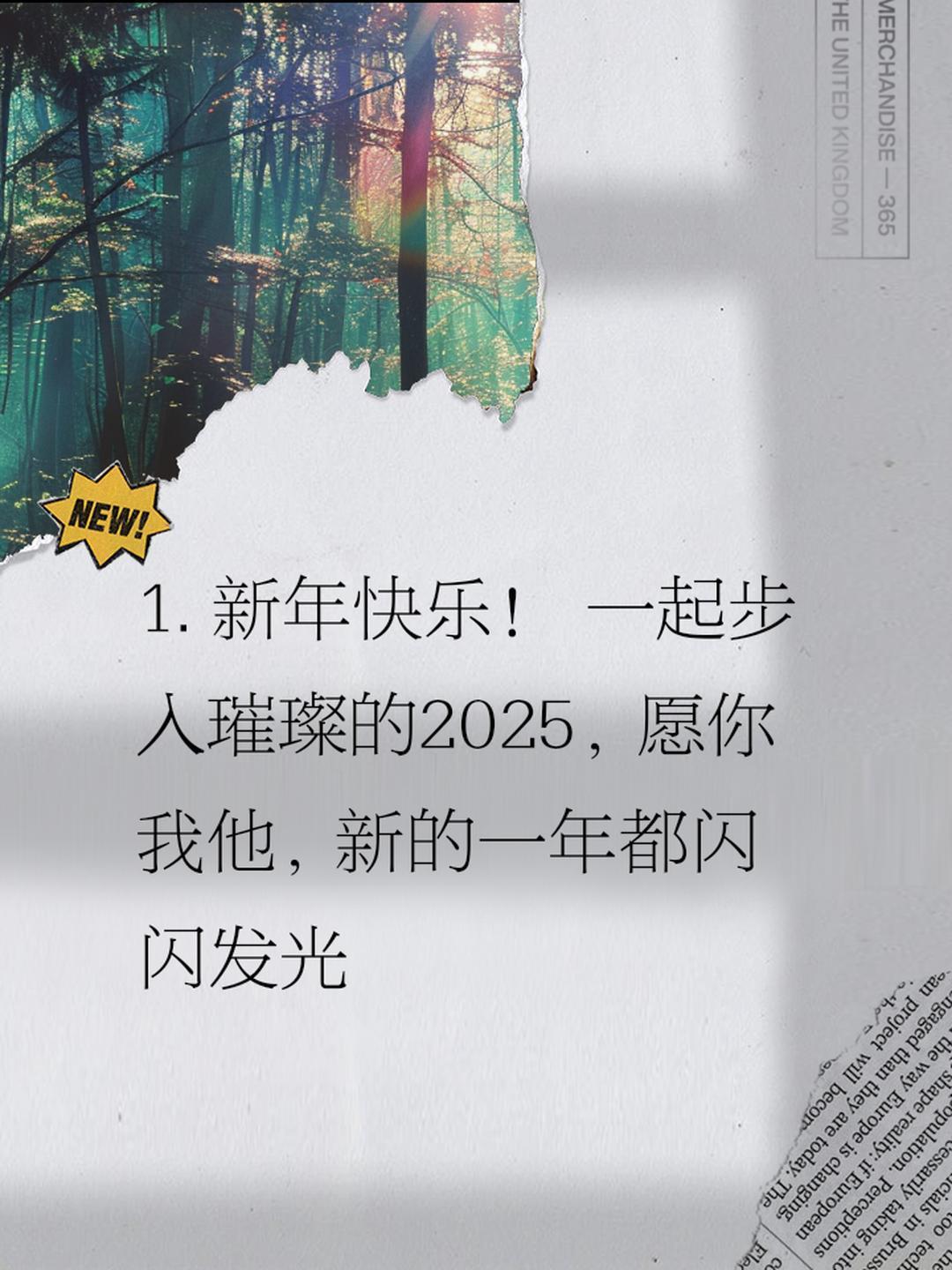 年轻人已经开始预制新年朋友圈了  2025来临之际，愿你心中烟火璀璨，每个明天都