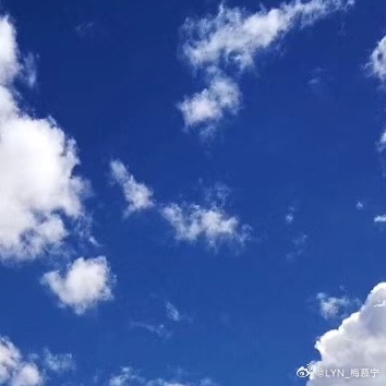 森林驿站 | 阳光信用 每日‎一善 无论生活怎么为难你，都不要放弃一如既往的努力