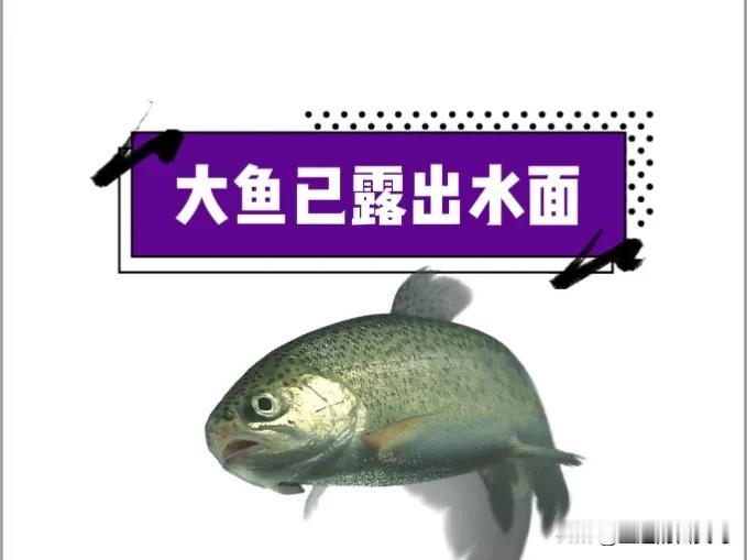复杂得像迷宫一样的“二八”世界里，就好像一场神秘的层级游戏，那隐藏在顶端的大鱼，