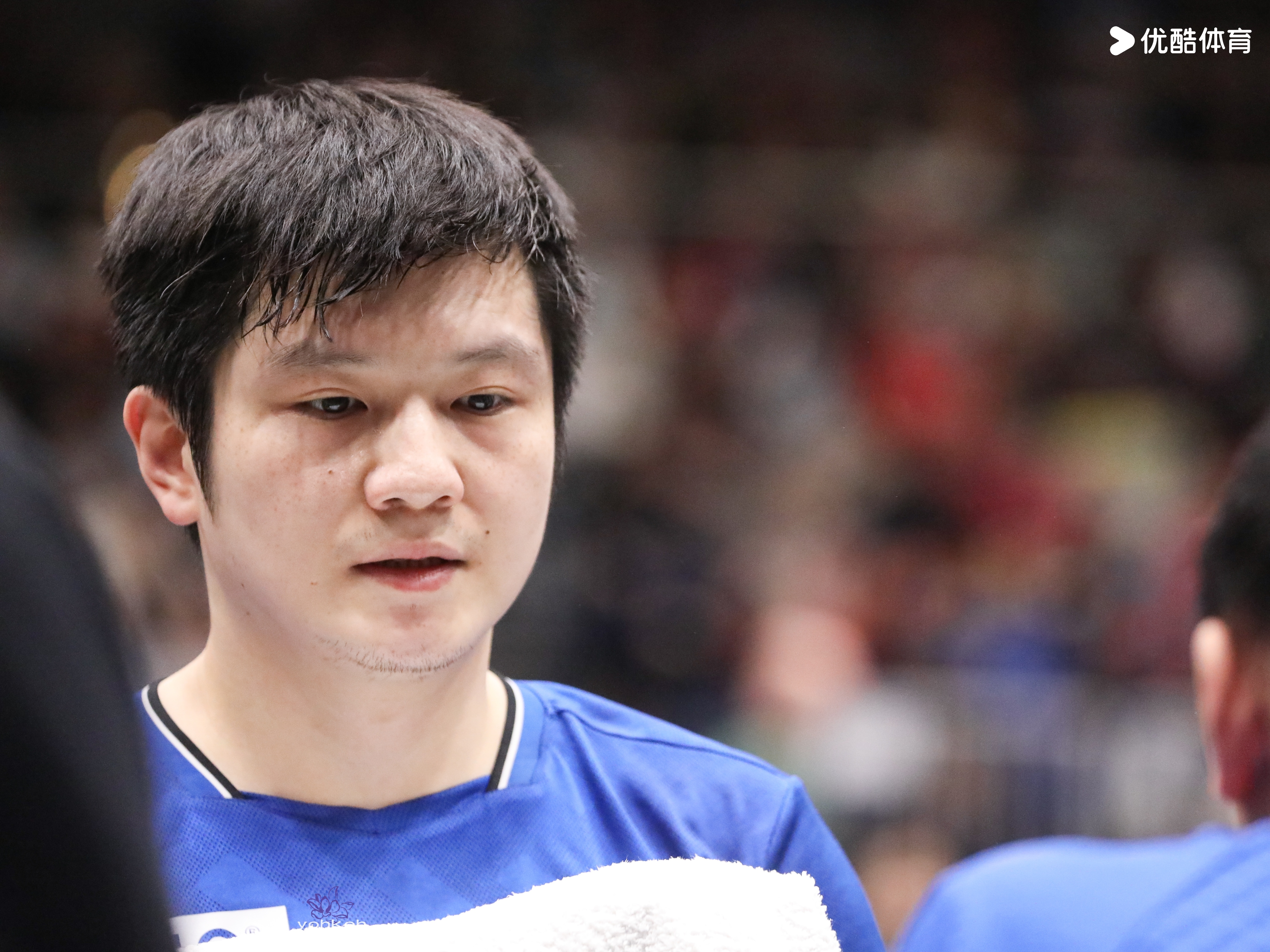 樊振东樊振东德甲 永远不会错过你「20260215德甲乒乓球联赛」 