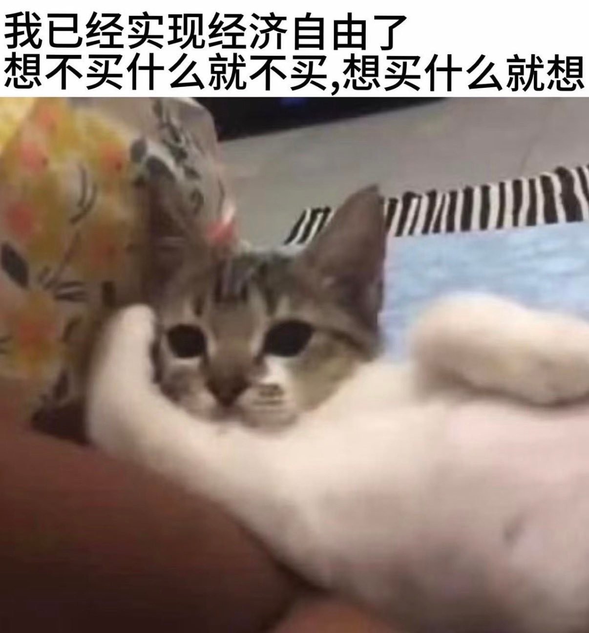 我的处境： 