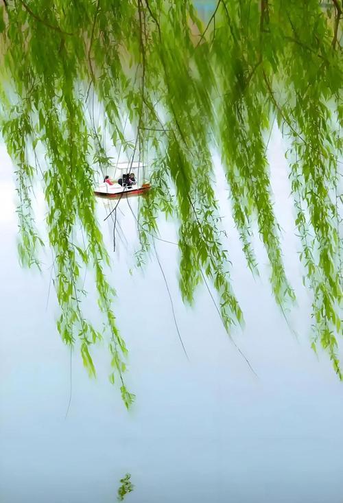 我的创意下联可以是：
1、风掀翠柳一帘梦[碰拳]云锁青山半幅图‌。
2、风掀翠柳