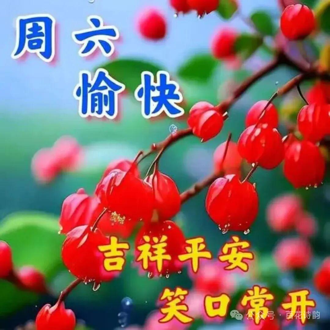 一人一句新年祝福祝大家新的一年吉祥平安，笑囗常开[比心]