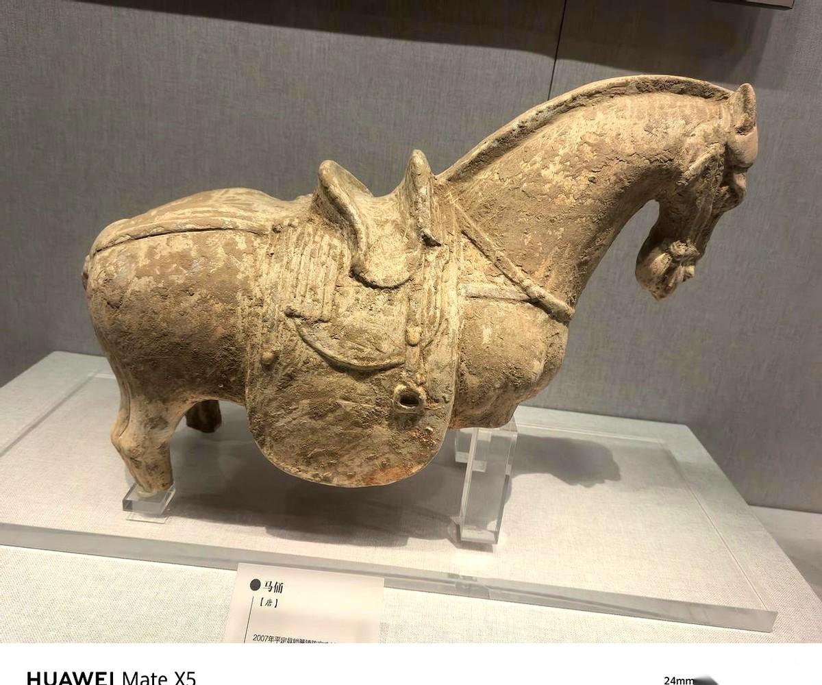 阳泉博物馆里，有匹马特别横。
它不是站着，也不是卧着，而是全身的肌肉都拧成了一股