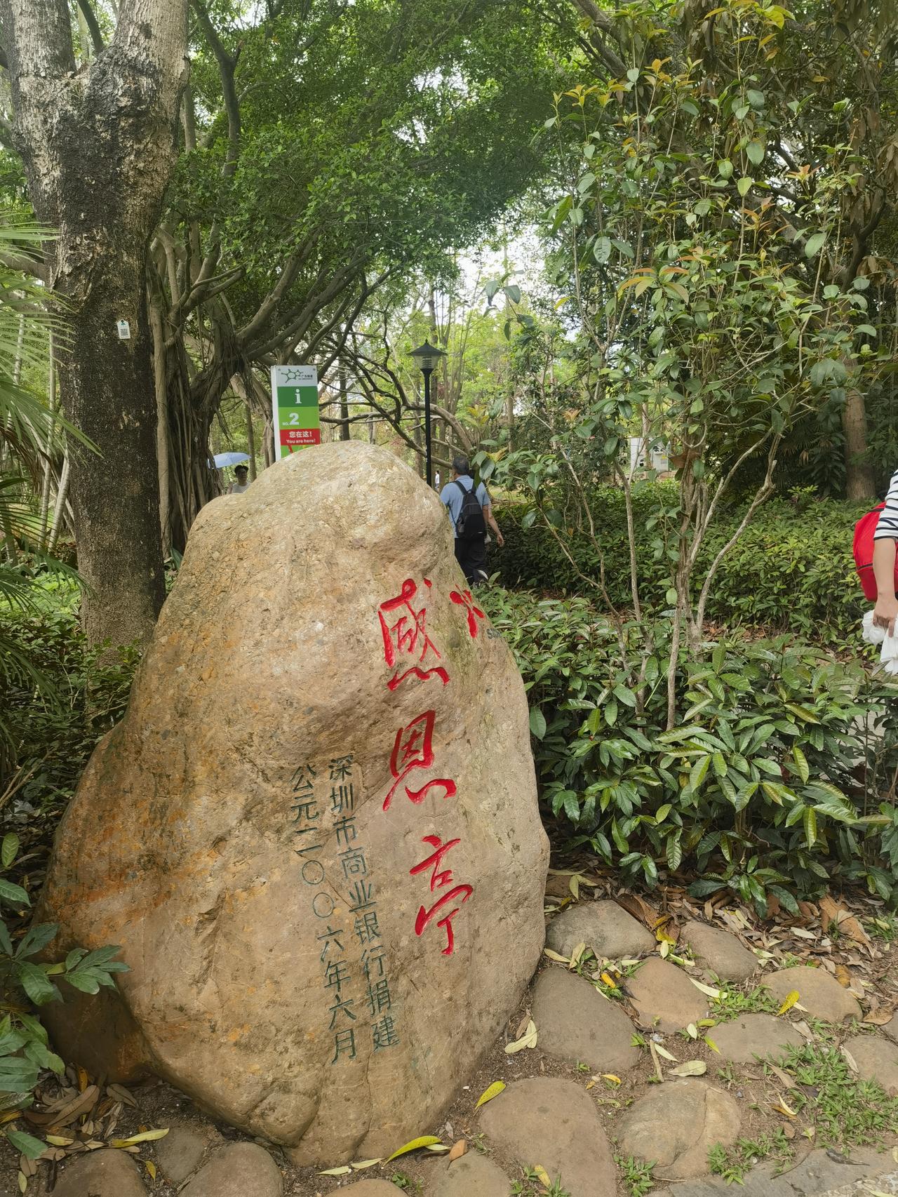 今天是星期天，深圳笔架山公园举行的2026年粤港澳大湾区花展吸引很多市民和游客前