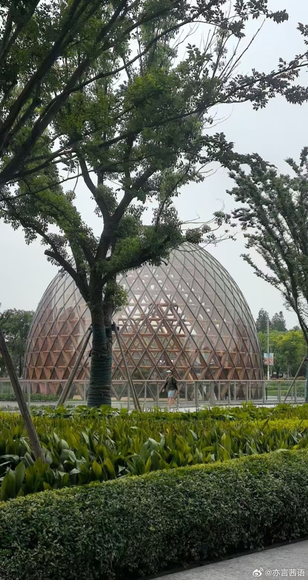 在上海西岸这个网红打卡地活动不公开，不知会不会有路透和偶遇