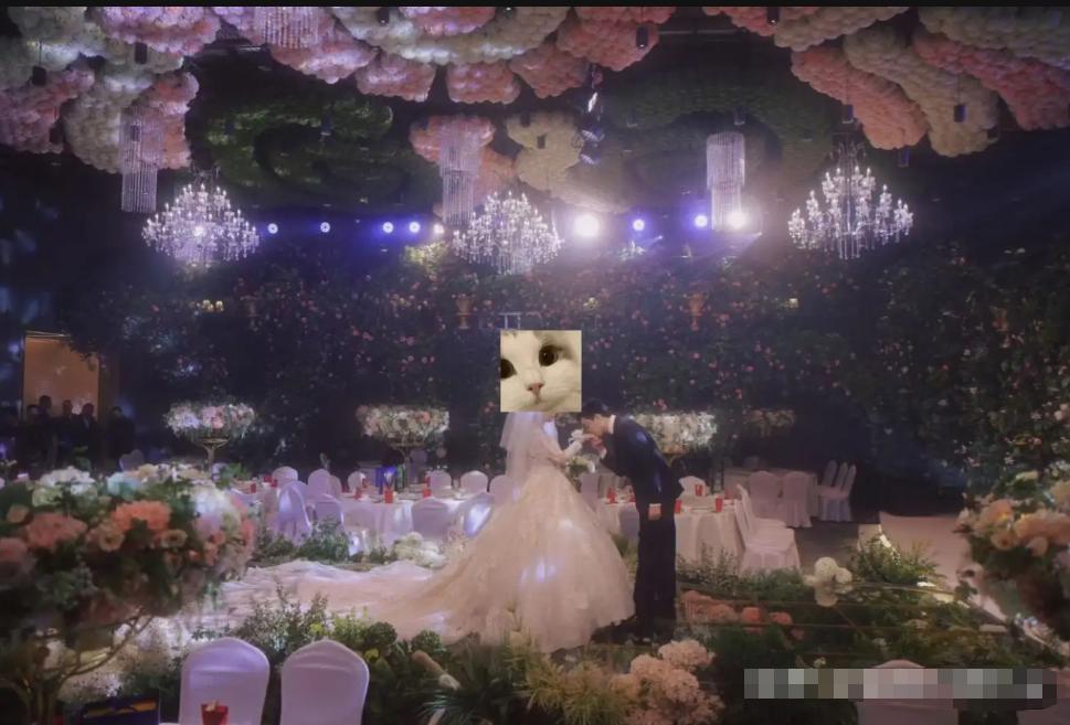 我老婆的婚纱只花580，婚礼当天却人人问链接！
 说出来你可能不信——我老婆那件