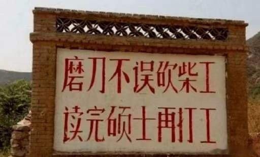 “烂泥烂的好好的，你非要给他扶上墙；咸鱼躺的好好的，你非要给他翻个身；一块朽木，