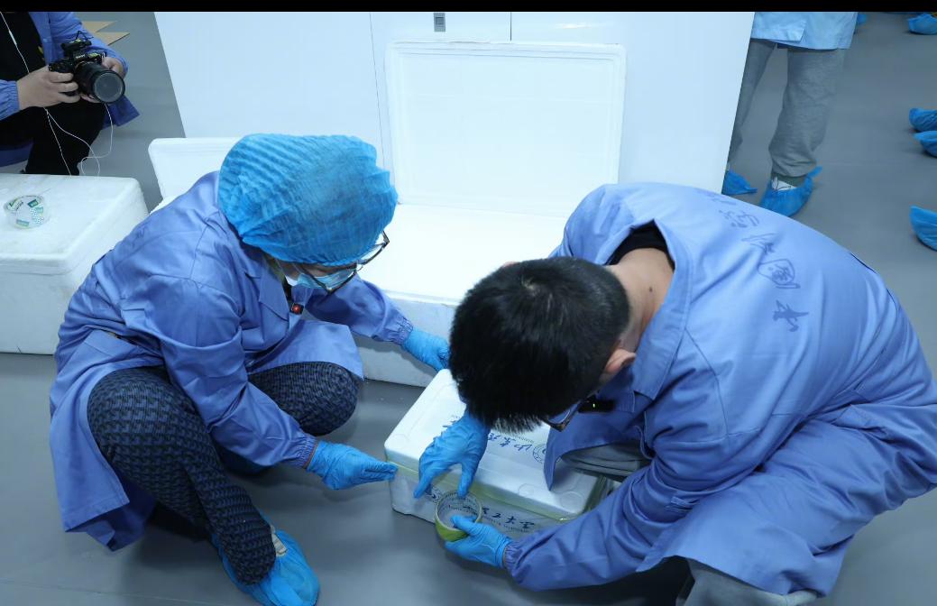 最近，一则“航天员带回近100斤太空特产”的新闻引发了大家的热议。这近百斤的“太