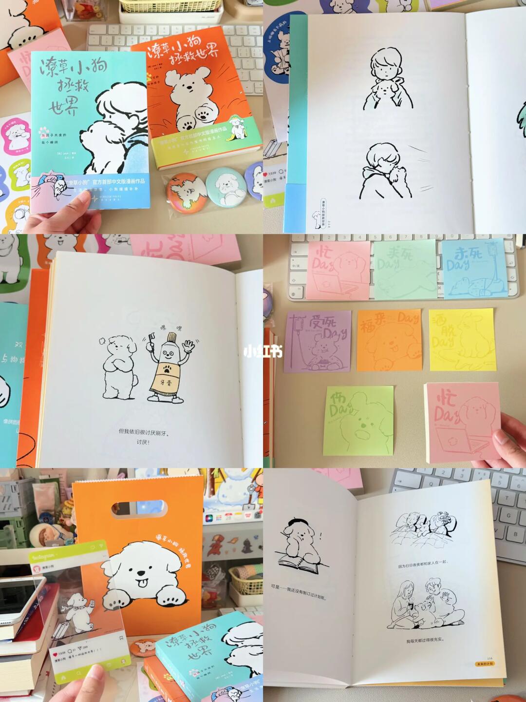 人总是感到孤独，所以神创造了小狗🐶