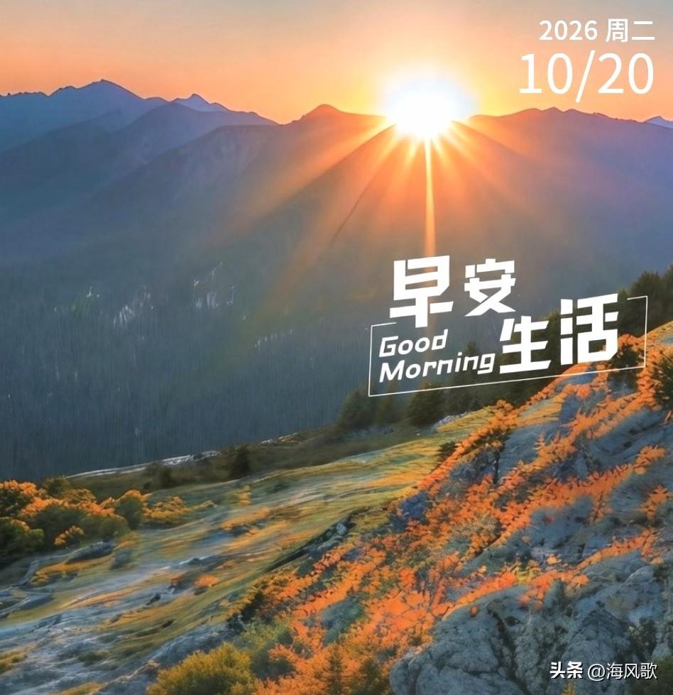 生活是自己的，你选择怎样的生活，就会成就怎样的你，与其抱怨这个世界不美好，不如用
