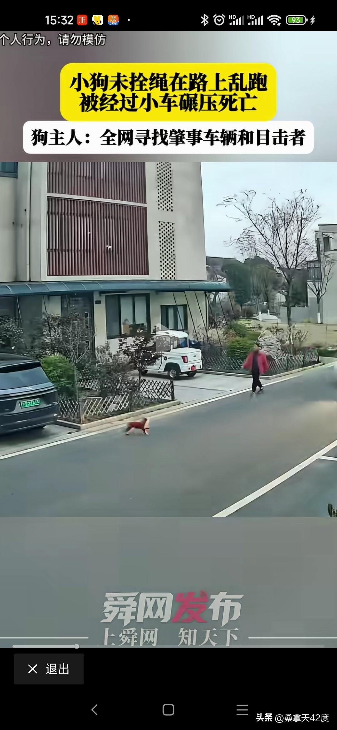 泰迪未栓绳寻求目击者和肇事司机
网上有人发帖说自己家泰迪被撞死，寻求目击者和找肇