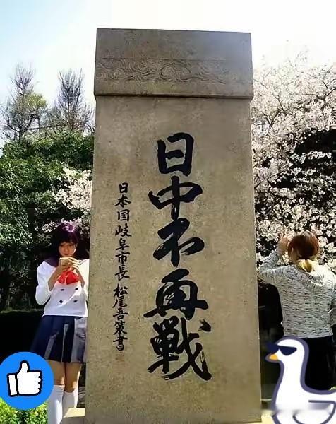 网友们太厉害了
[赞][赞][赞]
西湖边上那块“日中不再战”碑，是谁立起来的？