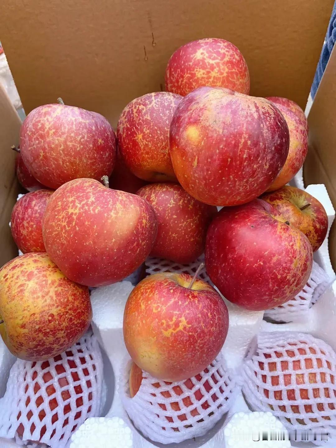 在网上买了一箱苹果，在回家乘电梯时碰到了对面的张姨，于是从箱子里掏了两个给她。没