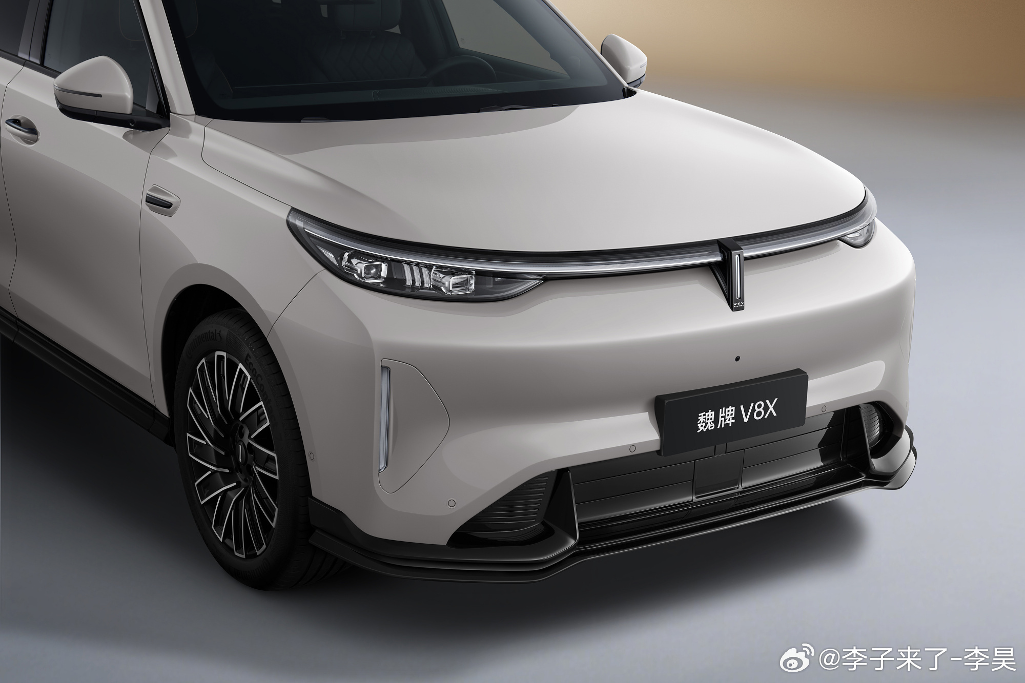 提问赵总魏牌V8X听说是两种版本不光是外观套件不一样一个会偏商务风格一个会有运动