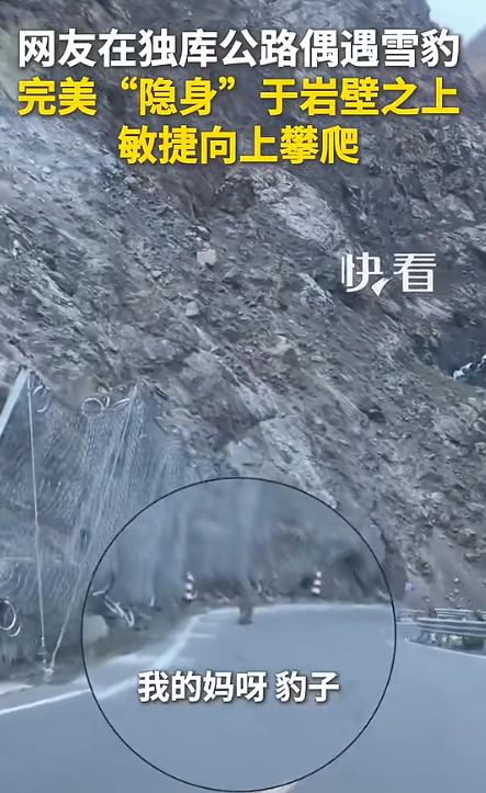 “登上新华社了！” 新疆独库公路，一对男女正开车赶路，副驾女子无意间抬头扫了眼岩