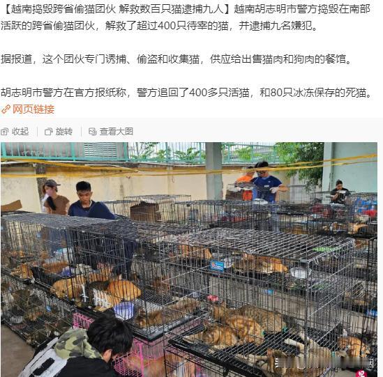越南人竟然也会大面积的吃猫肉？

九名嫌犯逮了400多只待宰的猫，外加80只冰冻