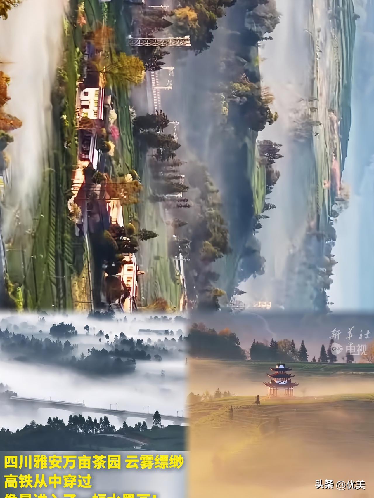 四川又火了！高铁像小白龙一样从云海中钻出，看完想立刻订票！

刷到那条视频时，我