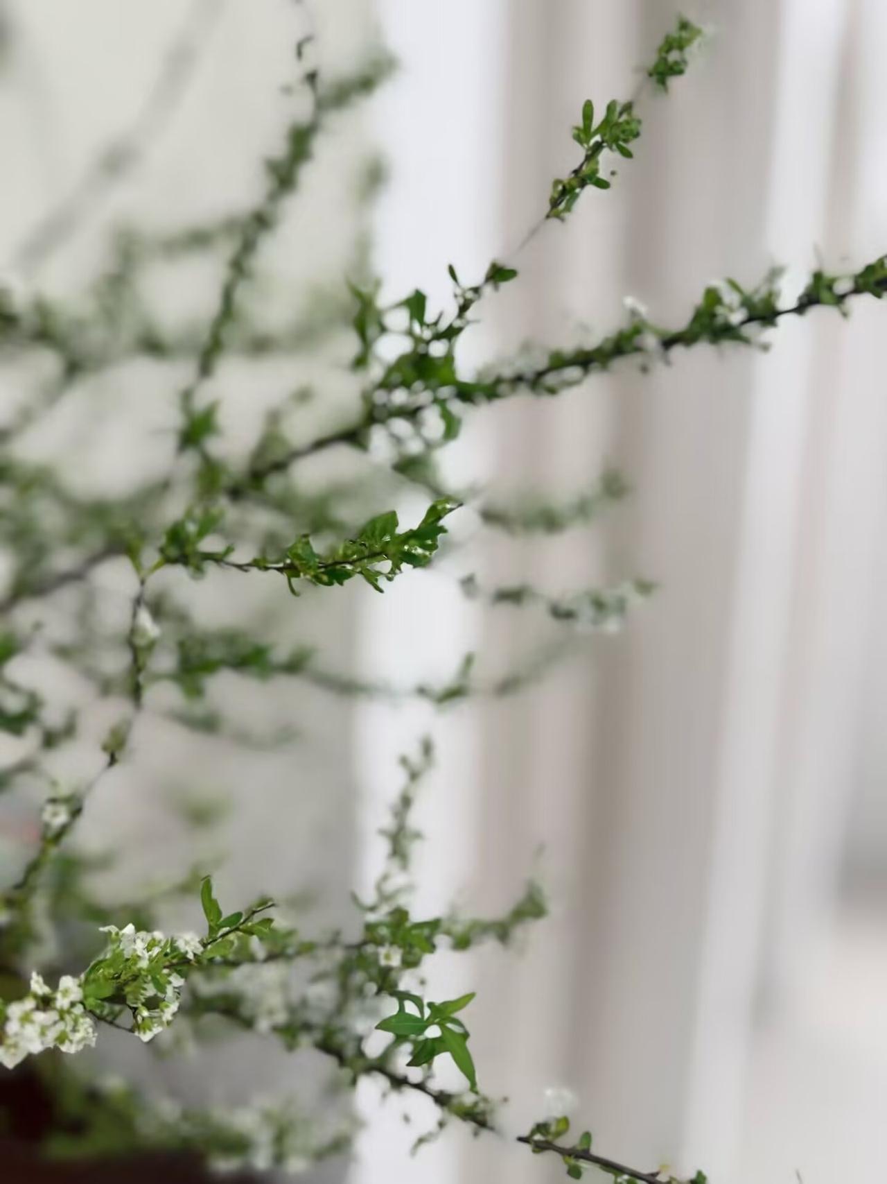 年轻人不畏权力，不唯权力意识比年长的人淡的多。
这是我的切身感受，在单位里，年轻