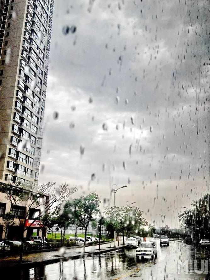 《冬夜雨》七律
 寒冬夜雨叩轩窗，瑟瑟风声扰梦乡。
滴沥阶前敲冷韵，飘零窗外湿残