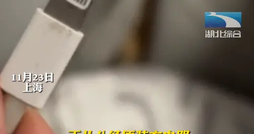 男子被苹果充电口烫伤，原装充电线也漏电，官方客服表示原因较多