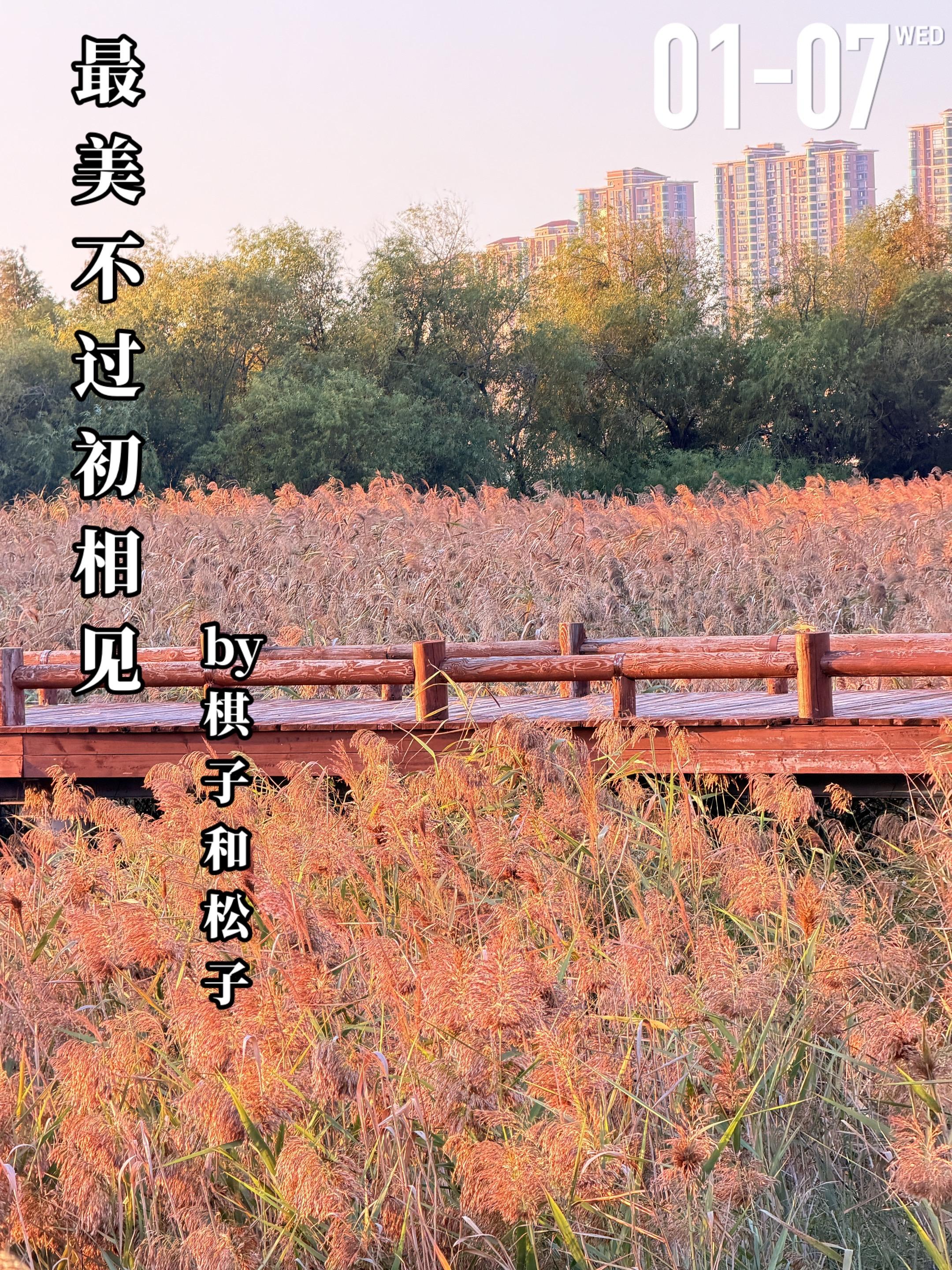 《最美不过初相见》by棋子和松子。裴岩妍（女主）与高嵩（男主）初中便相...