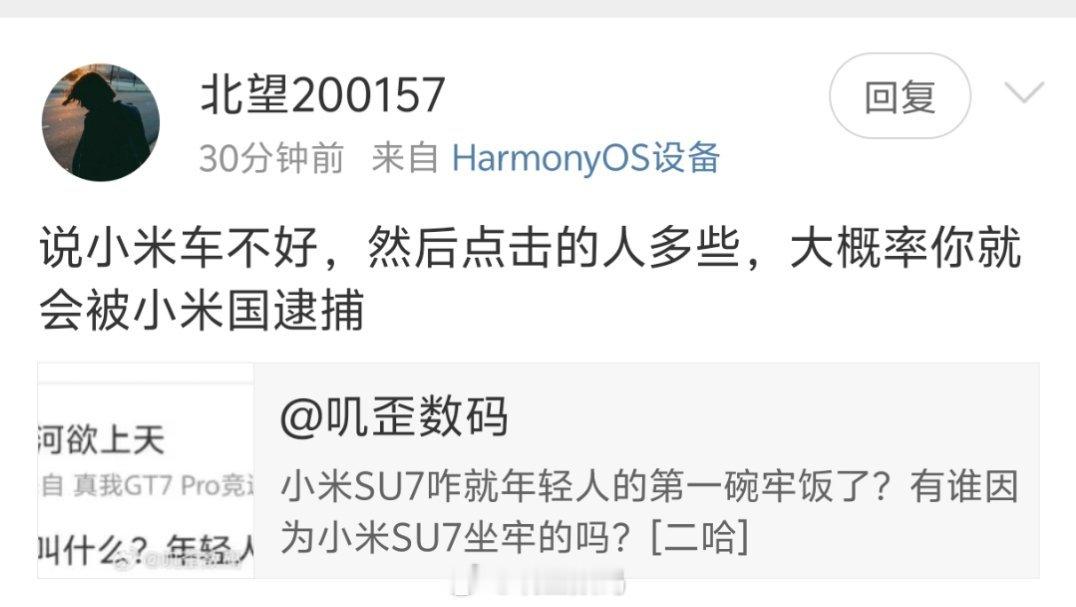 说小米不好，然后点击的人多些，会被小米逮捕？？？比如说，逮捕谁？为啥逮捕的？举例