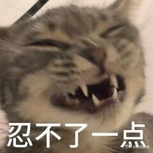 ４５９５家待涨，受国九条新规退市从严影响，微盘股普跌拖累市场 