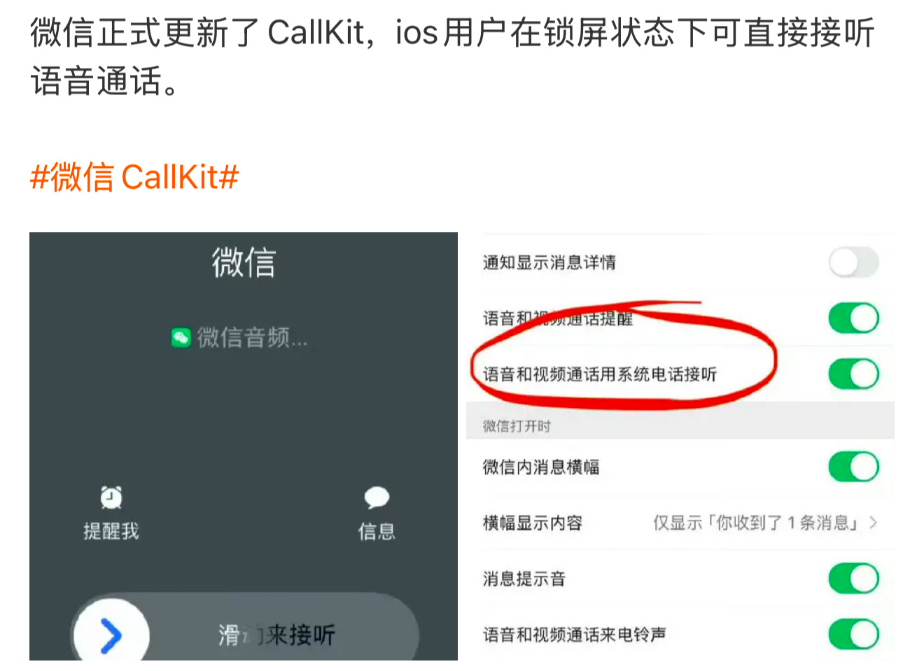 微信CallKit 这个功能对不喜欢接电话的人没用啊 