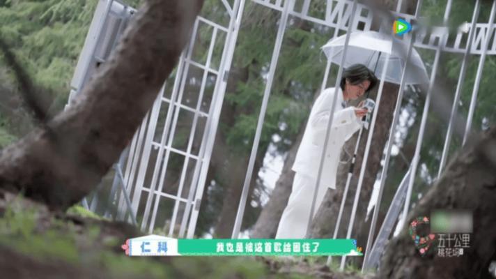 被仁科的笼中人狠狠击中了仁科说龙虾困于壳鸟困于天，人困于自己编的故事。桃花坞里看