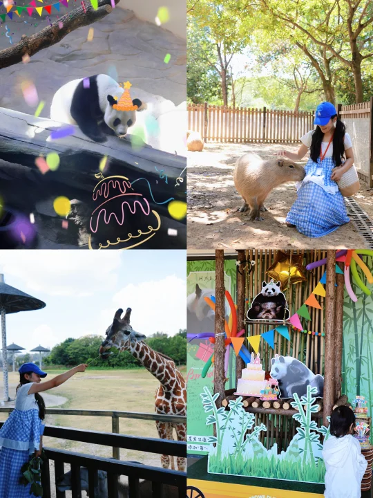 宁波野生动物园|动物明星过生日啦🎂攻略
