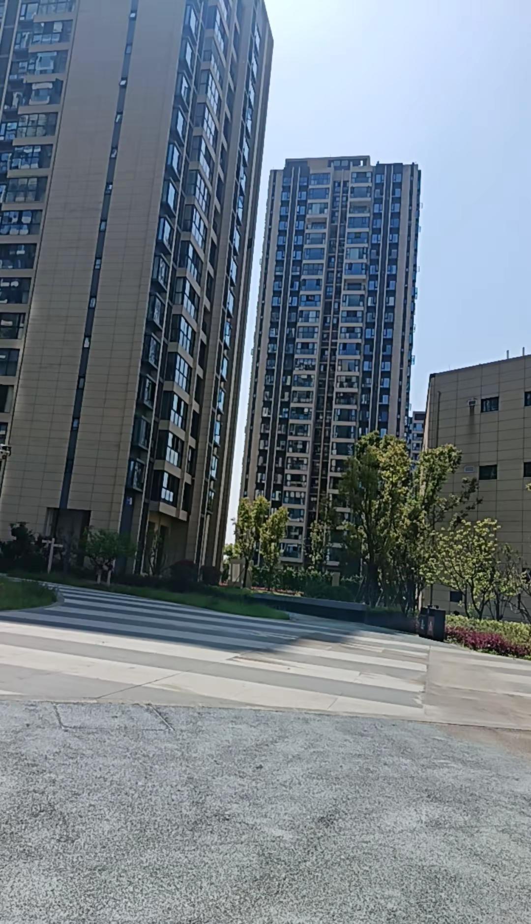 今天的天气很好，早上下雨，中午出太阳。