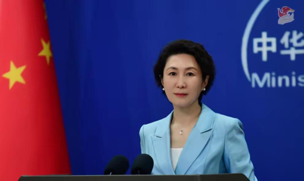 这一巴掌，打得响亮又精准！

特奥多罗被制裁，菲律宾国内炸了锅，可那些“亲密盟友