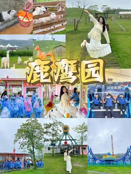 五一假期亲子游玩‼️强烈建议都给我去鹿鹰园
