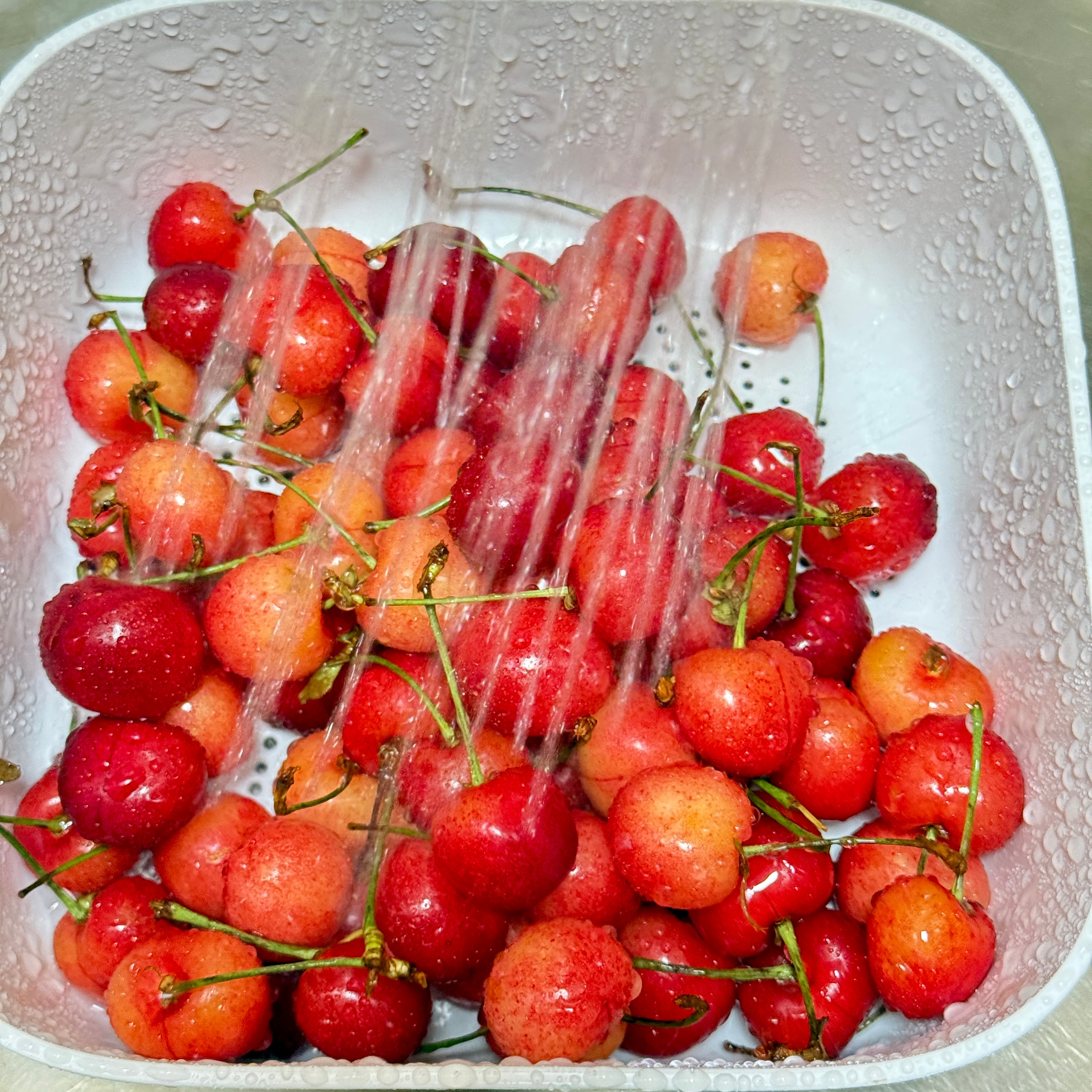 太好看啦🍒 