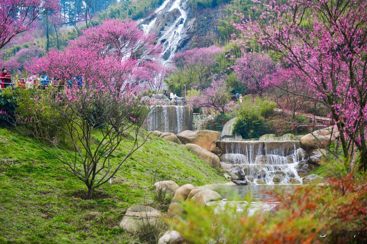 阳春三月已至，这美好的时节，愿春风送暖，喜乐常伴。