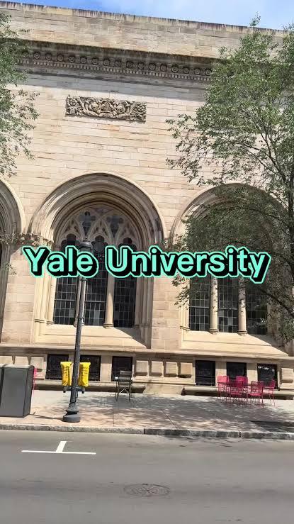 耶鲁大学、普林斯顿大学这些顶尖名校，大把家底优渥、未来要接管家族企业的富家子弟，