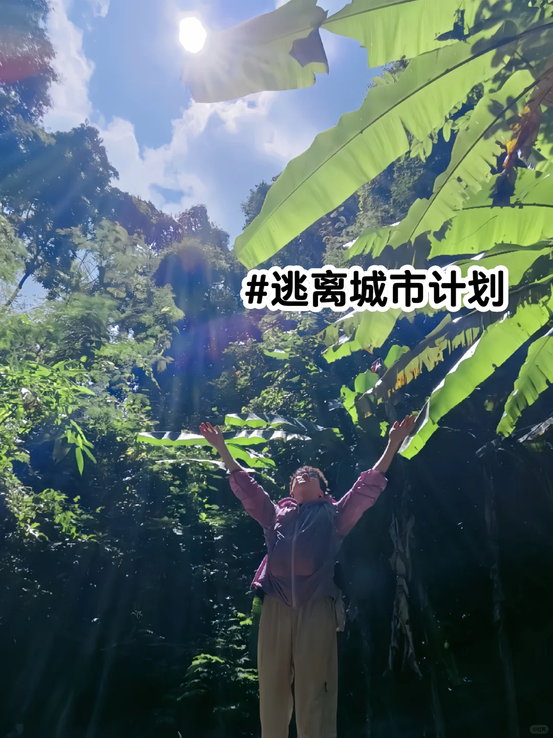 城市出逃计划🏃