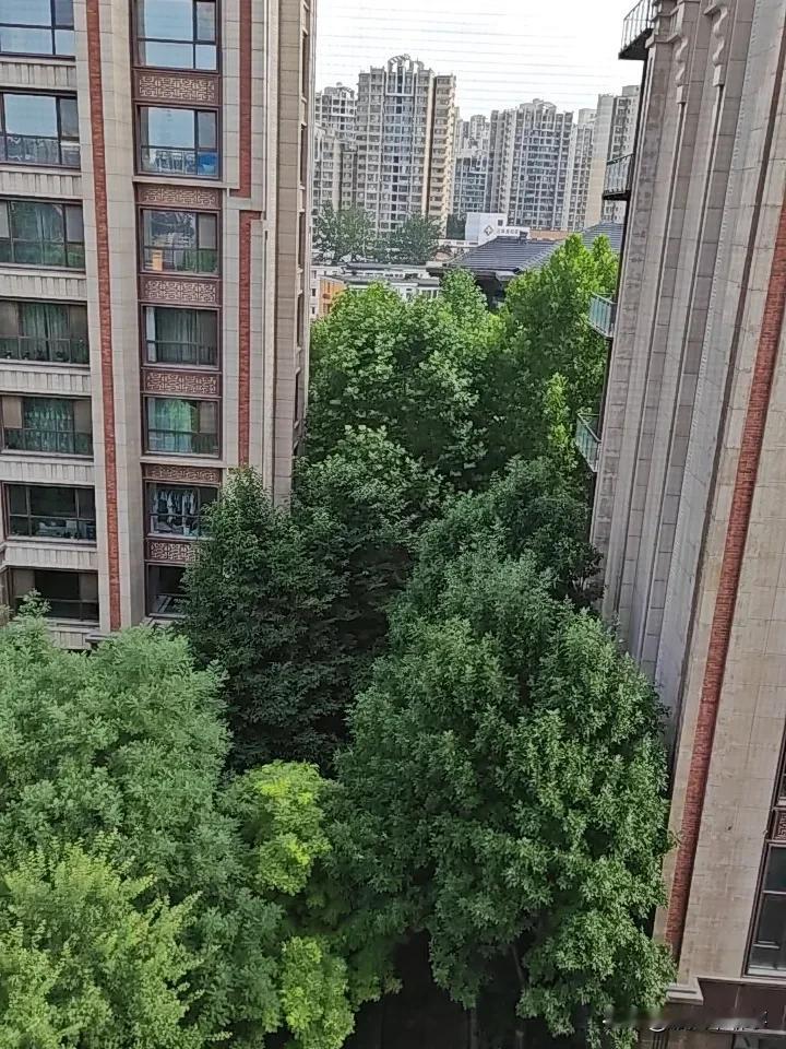一是严惩
二是监督
三是当事人较真
前途光明
道路曲折