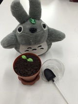 淑旺侃娱乐