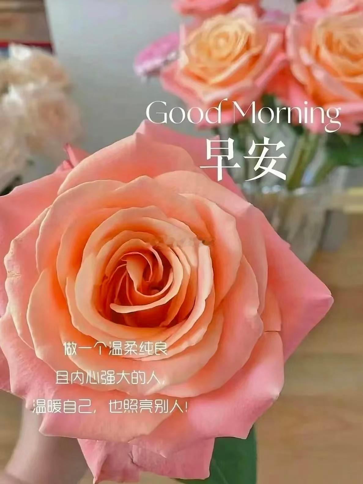 【周五，早安】心态对了，万事就顺了。 新的一天，无论工作还是生活， 愿你顺风、順