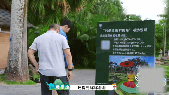黄景瑜站在一片叶子上黄景瑜187也没多重啊西双版纳王莲也太厉害了，187cm的黄