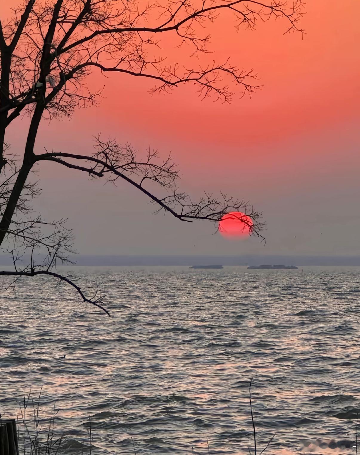 每日一善  抓不住的行情别纠缠，留不住的利润别在乎，忘不掉的回忆别较真，错了的方