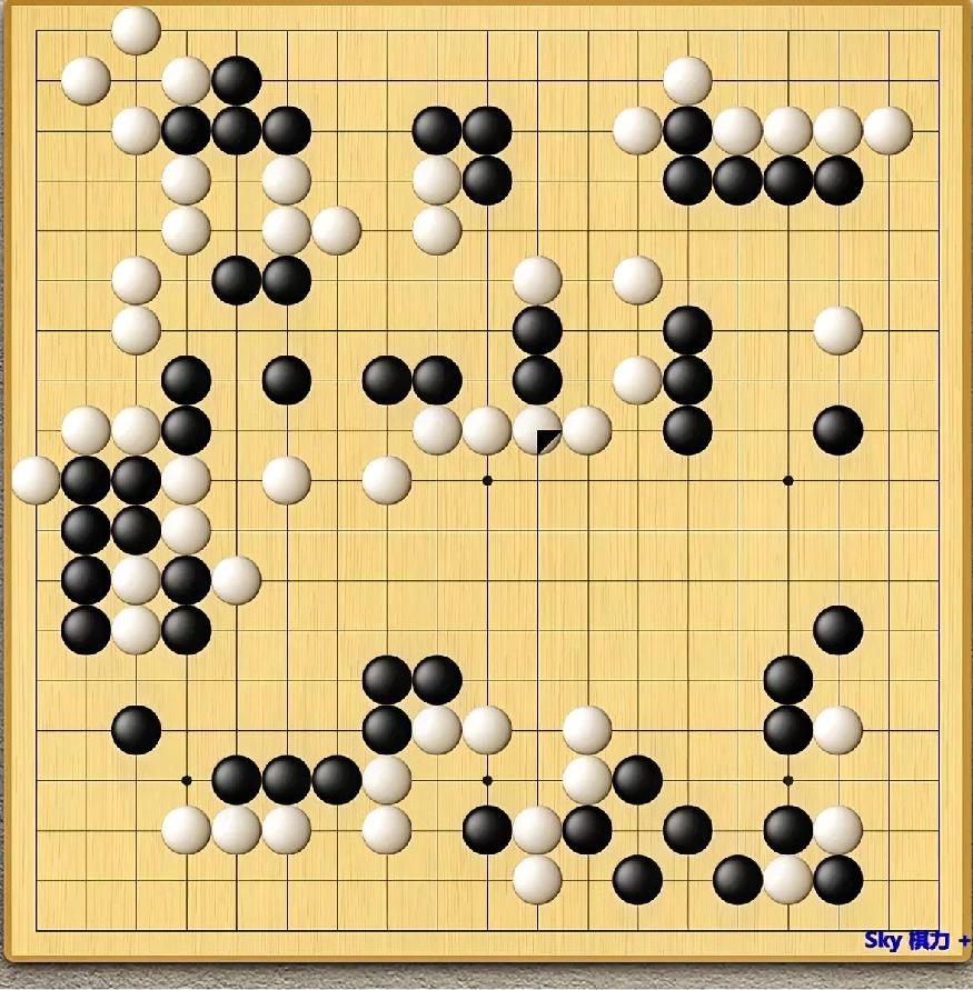 天元杯决赛决胜局王
             星昊～杨楷文
   现在王星昊的白